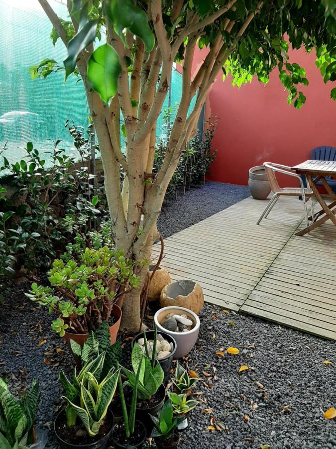 Casa Das Yucas - Patio Apartment Capelas Eksteriør bilde